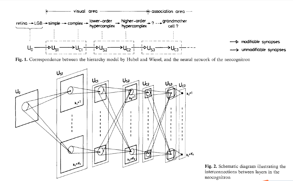 neocognitron arch